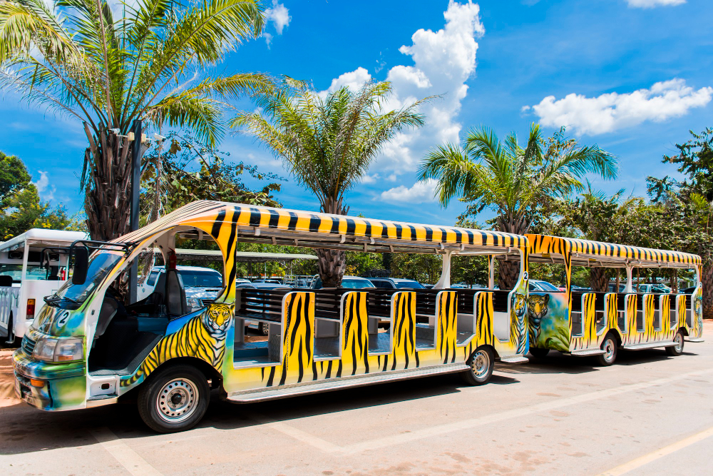 Transfer 15-25 pax